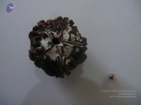 20110607 Photo 1034 157k0QJRidhJipaovio3j3VVm5QRnA-Gk.JPG