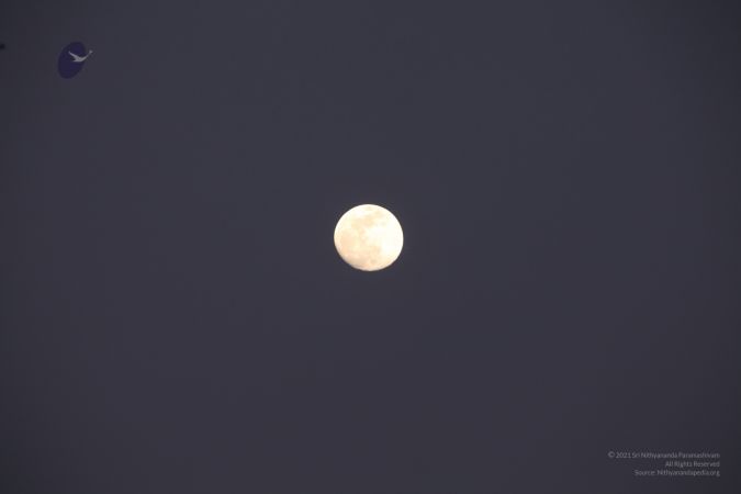 20111208 IMG 9702-203001.jpg