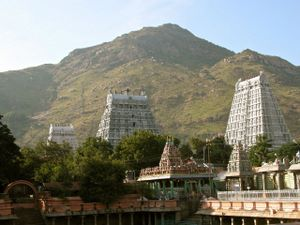 Tiruvannamalai township tower mountain.png