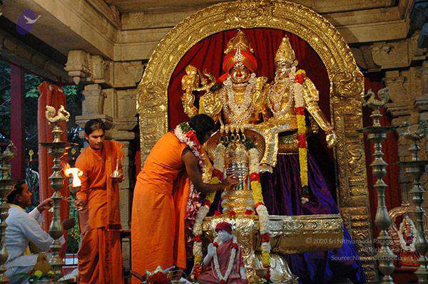 File:2010 PhotoAlbum Photo 110 1kndcmc7gzypazKVg2pV9C2qyT9D7MGNq.jpg