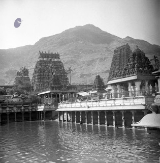 Temple arunachleswarar images-26.jpg
