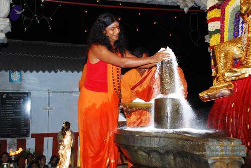 File:2010 PhotoAlbum Photo 772 1KLQXs1MUCXJ-7DOT3JBfoUM69QgDBc-6.jpg