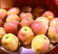 20211117 1304 254120376 FB.jpg