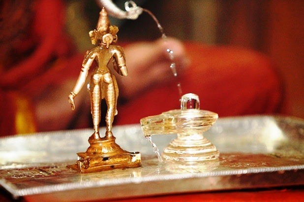 File:KPedia Photo 1111 1WaQfkIs1628du4mJo x4m5S9ItER-Rat.jpg