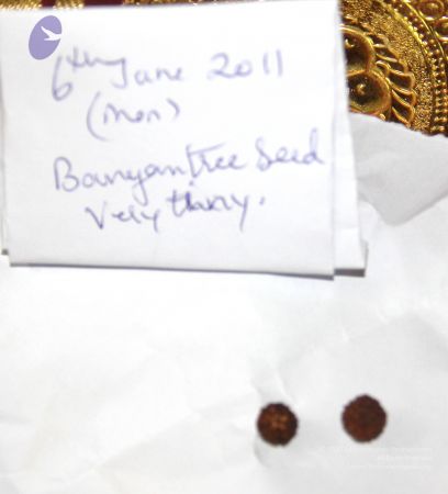 14 051 20110606 WM.jpg