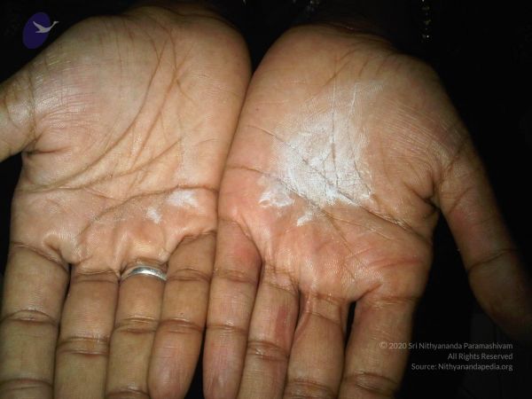 17 IMG00117-20110606-1144 20110606 WM.jpg