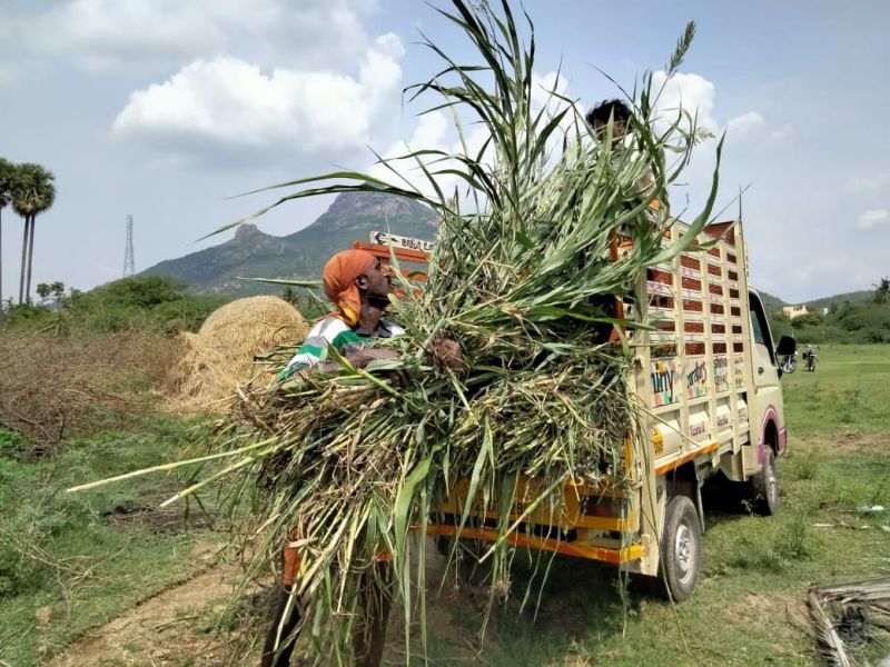 File:188084526 1960462767452386 1297745970203042304 n.jpeg