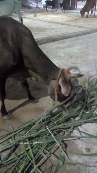 File:188122958 1962067137291949 6771606579795247045 n.jpeg