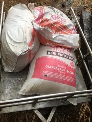 189139031 1960462984119031 6241402394147686030 n.jpeg