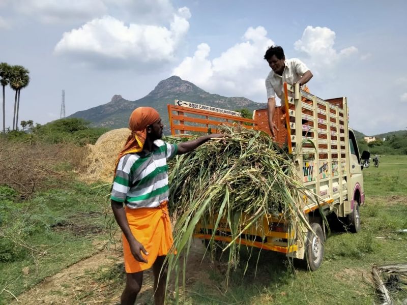 File:189455097 1960462694119060 9206217154497510945 n.jpeg