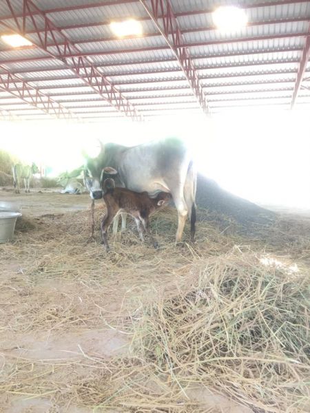 File:190645819 1955689521263044 438263055215358331 n.jpeg