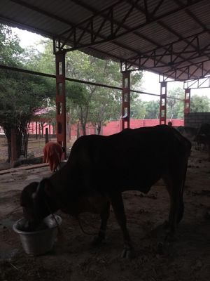 190807773 1960462974119032 3105067772288053728 n.jpeg