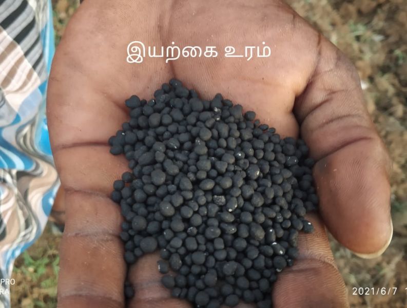 File:191199955 1961673563997973 4671225123454631460 n.jpeg