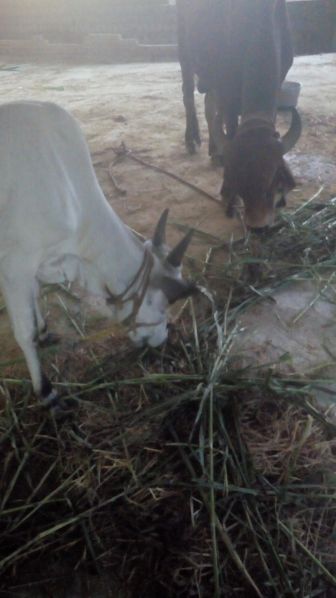 File:192271304 1962067130625283 7965672995471067140 n.jpeg