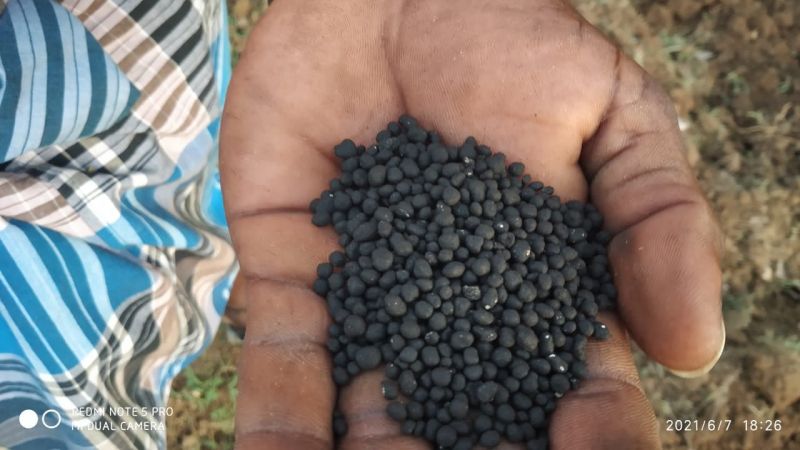 192670433 1961673447331318 5689892683731022232 n.jpeg