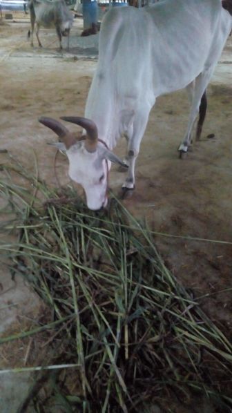 File:193064027 1962067163958613 1252549415624456427 n.jpeg