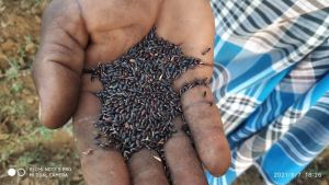 194111439 1961673480664648 2176905528937974791 n.jpeg