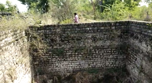 195975561 1960465850785411 6917793023450160990 n.png