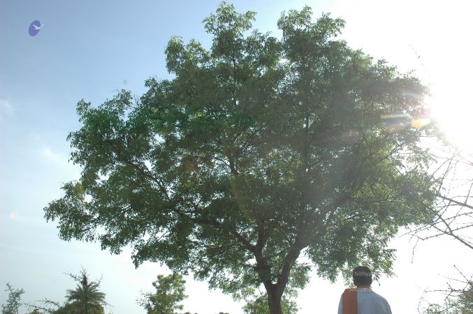 19780101 Inner Girivala Tiruvannamalai 10May2007 106-105.jpg