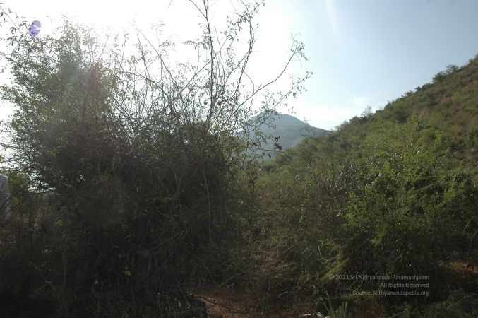 19780101 Inner Girivala Tiruvannamalai 10May2007 108-107.jpg