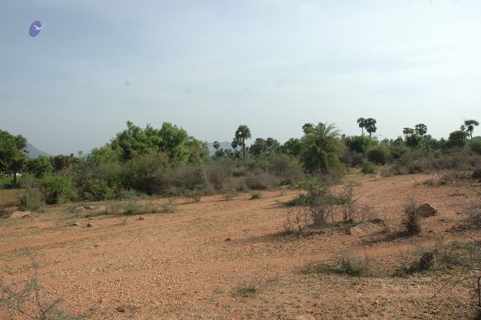 19780101 Inner Girivala Tiruvannamalai 10May2007 118-117.jpg