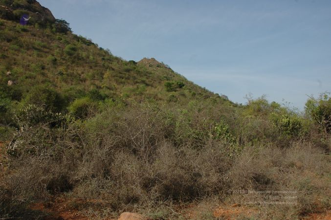 19780101 Inner Girivala Tiruvannamalai 10May2007 126-125.jpg