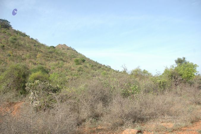 19780101 Inner Girivala Tiruvannamalai 10May2007 129-128.jpg