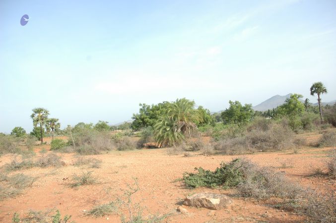 19780101 Inner Girivala Tiruvannamalai 10May2007 131-130.jpg