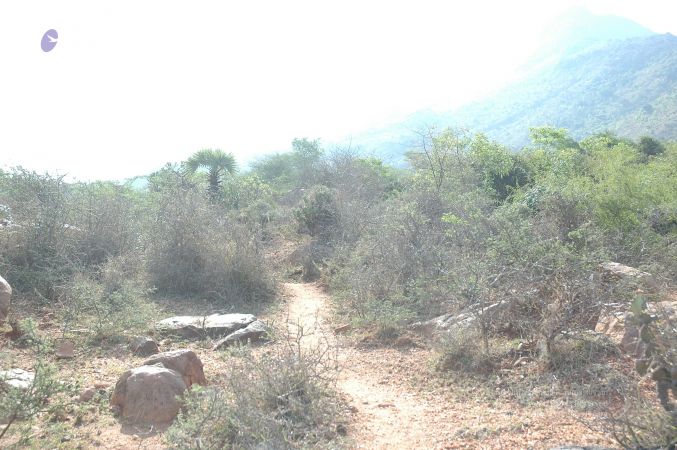 19780101 Inner Girivala Tiruvannamalai 10May2007 138-137.jpg