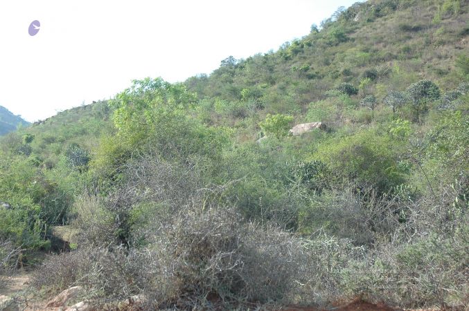 19780101 Inner Girivala Tiruvannamalai 10May2007 139-138.jpg