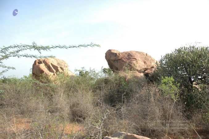 19780101 Inner Girivala Tiruvannamalai 10May2007 141-140.jpg