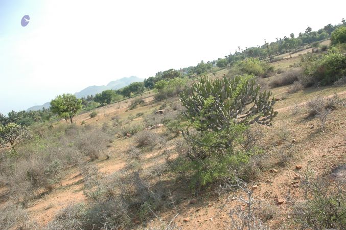 19780101 Inner Girivala Tiruvannamalai 10May2007 162-161.jpg