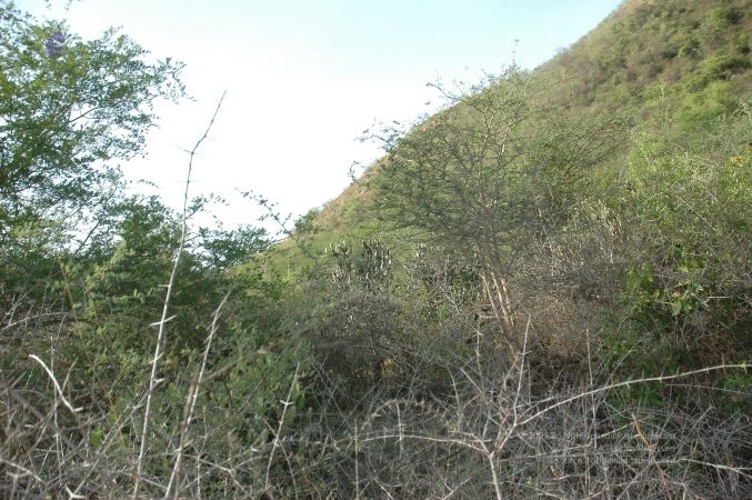 19780101 Inner Girivala Tiruvannamalai 10May2007 165-164.jpg