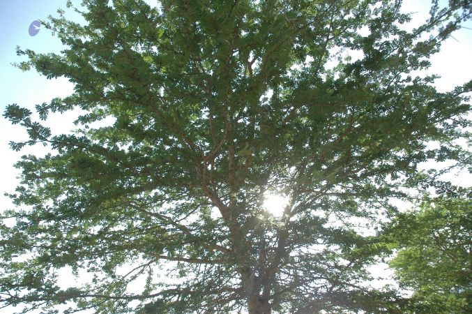 19780101 Inner Girivala Tiruvannamalai 10May2007 173-172.jpg