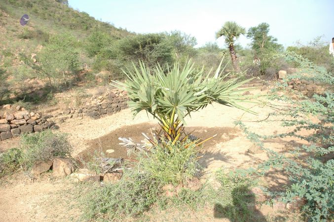 19780101 Inner Girivala Tiruvannamalai 10May2007 195-194.jpg
