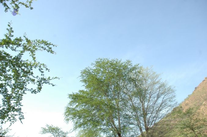 19780101 Inner Girivala Tiruvannamalai 10May2007 199-198.jpg