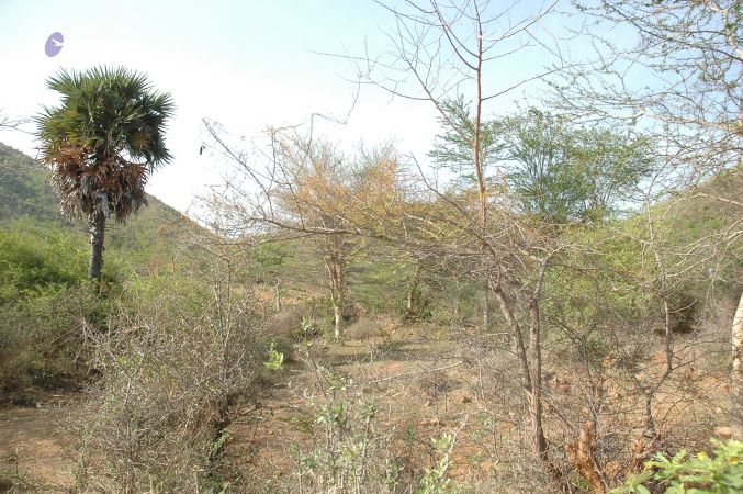 19780101 Inner Girivala Tiruvannamalai 10May2007 205-204.jpg