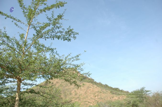 19780101 Inner Girivala Tiruvannamalai 10May2007 211-210.jpg