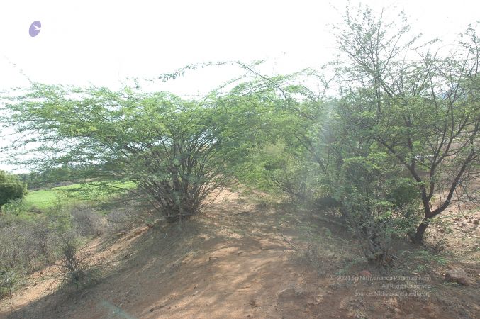 19780101 Inner Girivala Tiruvannamalai 10May2007 213-212.jpg