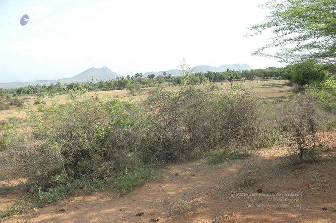 19780101 Inner Girivala Tiruvannamalai 10May2007 214-213.jpg