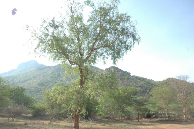 19780101 Inner Girivala Tiruvannamalai 10May2007 229-228.jpg