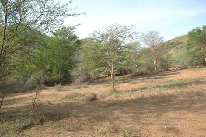 19780101 Inner Girivala Tiruvannamalai 10May2007 231-230.jpg
