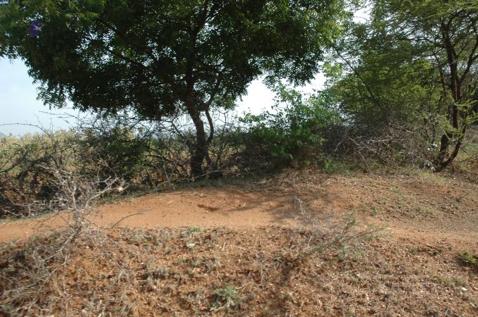 19780101 Inner Girivala Tiruvannamalai 10May2007 242-241.jpg