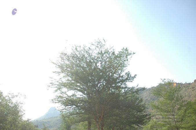 19780101 Inner Girivala Tiruvannamalai 10May2007 244-243.jpg