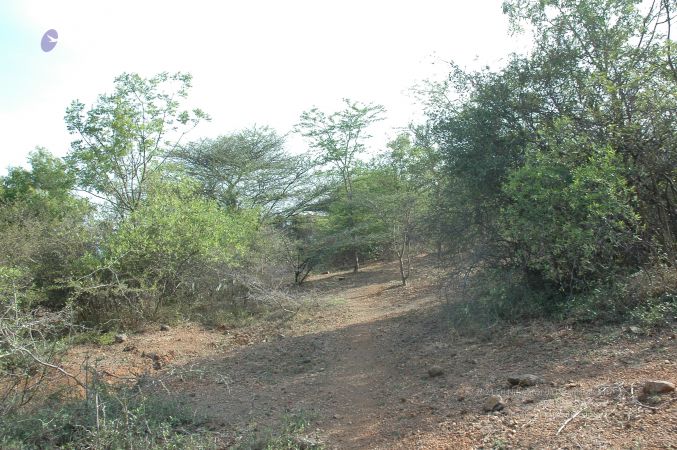 19780101 Inner Girivala Tiruvannamalai 10May2007 249-248.jpg