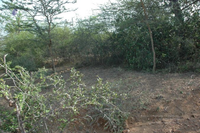 19780101 Inner Girivala Tiruvannamalai 10May2007 251-250.jpg