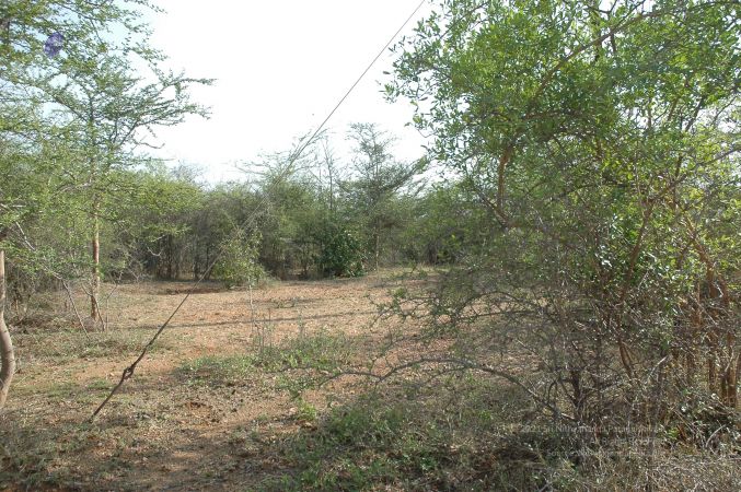 19780101 Inner Girivala Tiruvannamalai 10May2007 256-255.jpg