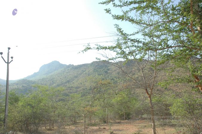 19780101 Inner Girivala Tiruvannamalai 10May2007 274-273.jpg