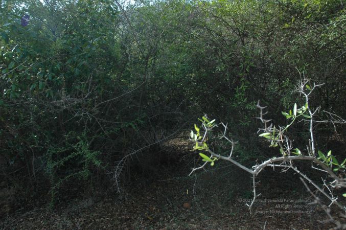 19780101 Inner Girivala Tiruvannamalai 10May2007 286-285.jpg
