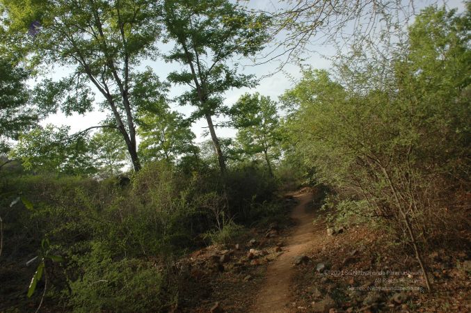 19780101 Inner Girivala Tiruvannamalai 10May2007 29-28.jpg